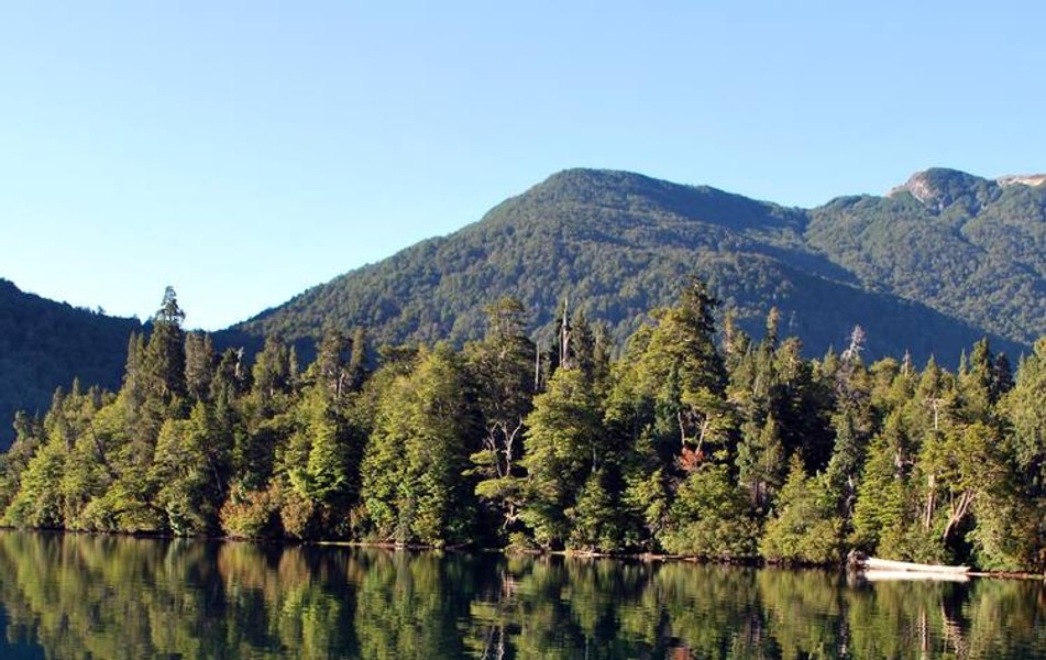 Un incendiu a devastat 600 de hectare dintr-un parc natural din Patagonia, înscris în patrimoniul UNESCO 