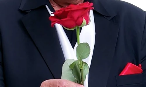 1 84256414 3191385590890258 7906621654736830464 n jpg jpeg