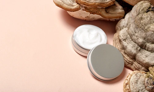 Ciuperci pentru infrumusetare  Sursa imagine shutterstock 1686710884 jpg