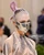 7 grimes2 jpg jpeg