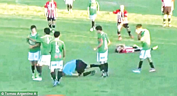 
    Arbitrul s-a prăbuşit pe  teren după ce a fost lovitFoto: Capturi Video   