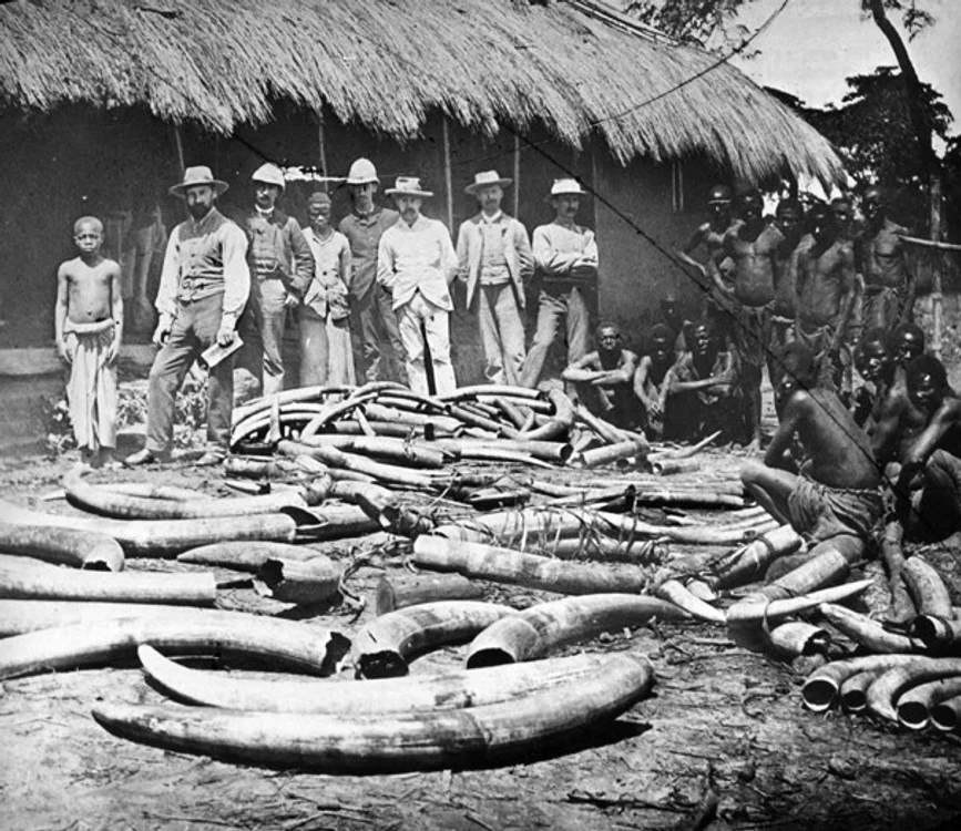 1901 jpg jpeg