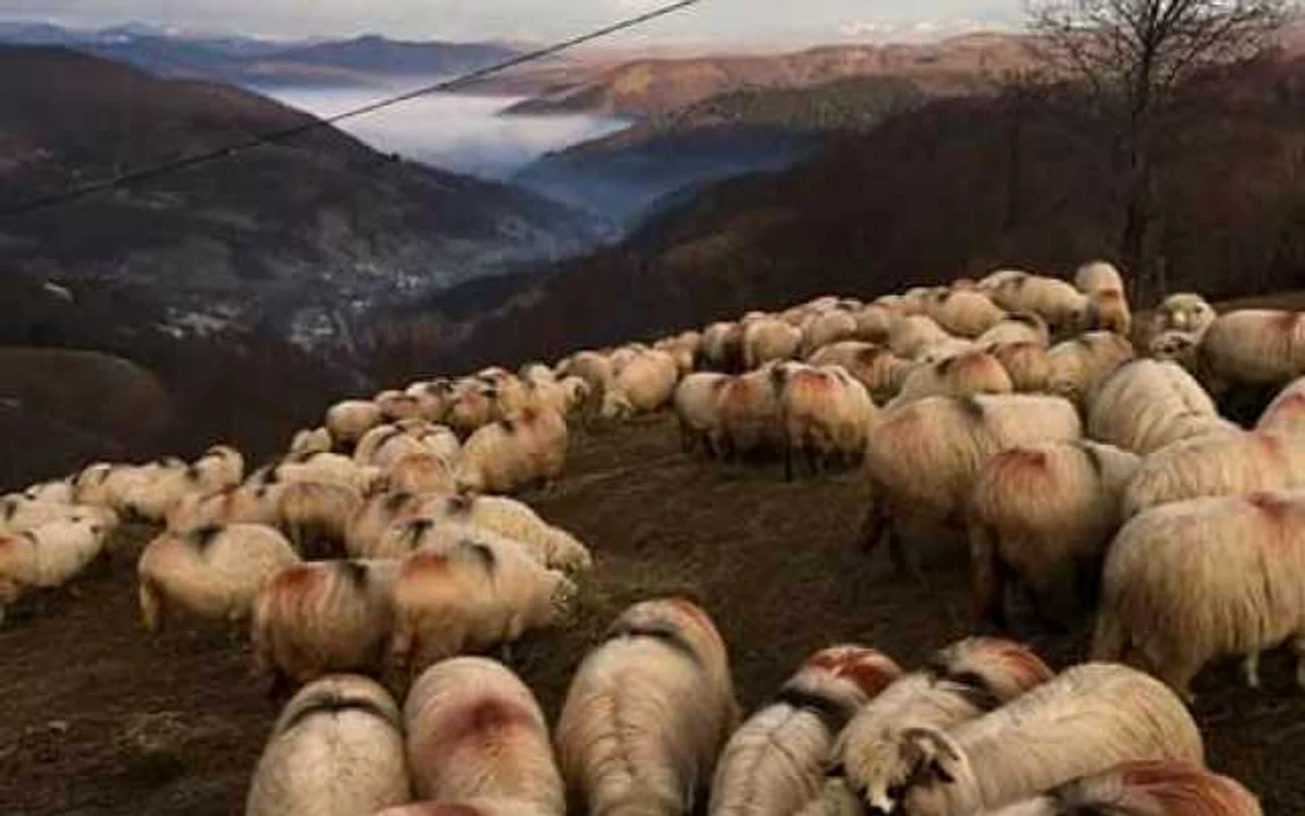 Persoana condamnată postează frecvent imagini cu peisaje din zona montană a Apusenilor