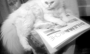 Cu ochii n 3,14 jpeg