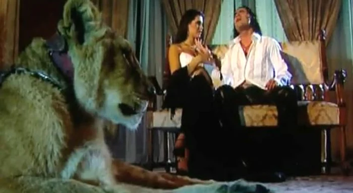 
    Pepe - Vreau iubirea ta  