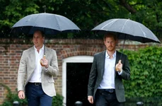 william  harry ploaie jpg