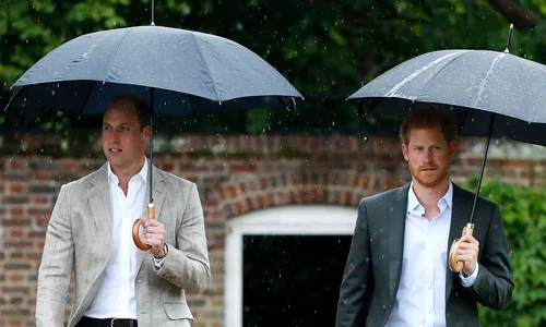 william  harry ploaie jpg