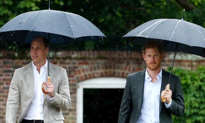 william  harry ploaie jpg