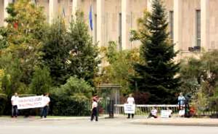 Activiştii, în faţa Guvernului