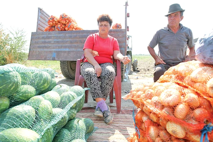 Gogoşarii pleacă de la Lunguleţu cu 2,5 lei şi ajung în Bucureşti la 4,5 lei, iar ceapa sare de la 70 de bani/kg la peste 2 lei/kg