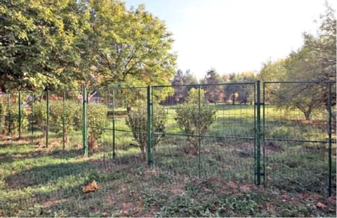 Terenul de 20.000 de metri pătraţi a fost împrejmuit de proprietar. Dincolo de gard se văd sute de arbori, unii chiar rari (Fotografii: Roberto Sălceanu)