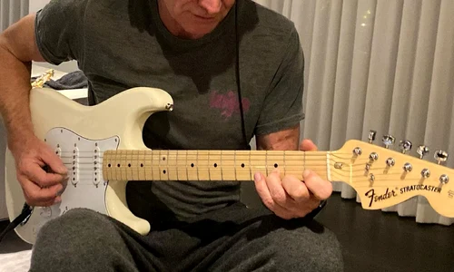sting canta la chitara in pandemie 0 jpeg