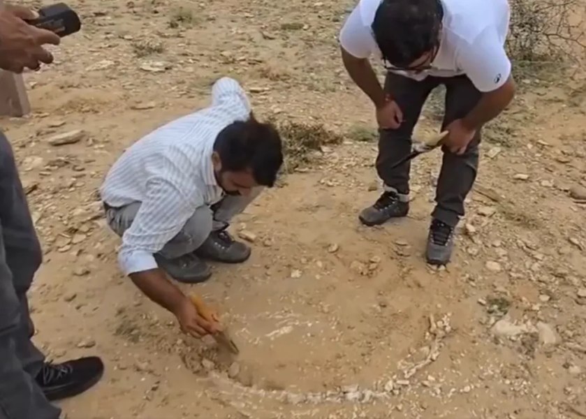 Descoperire rară din era Jurasicului: Fosila unui fitosaur vechi de peste 200 de milioane de ani a fost găsită în India