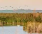 Complex Delta Moldovei, Iasi  Sursa foto: Arhiva Complexului 