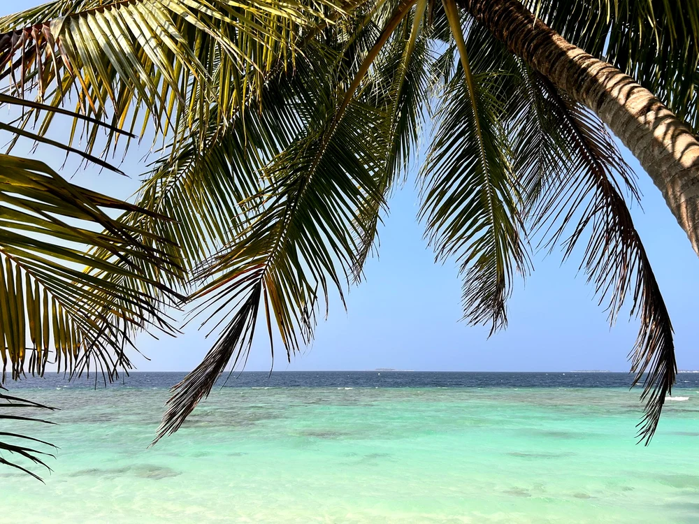 maldive jpg