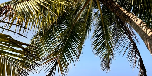 maldive jpg