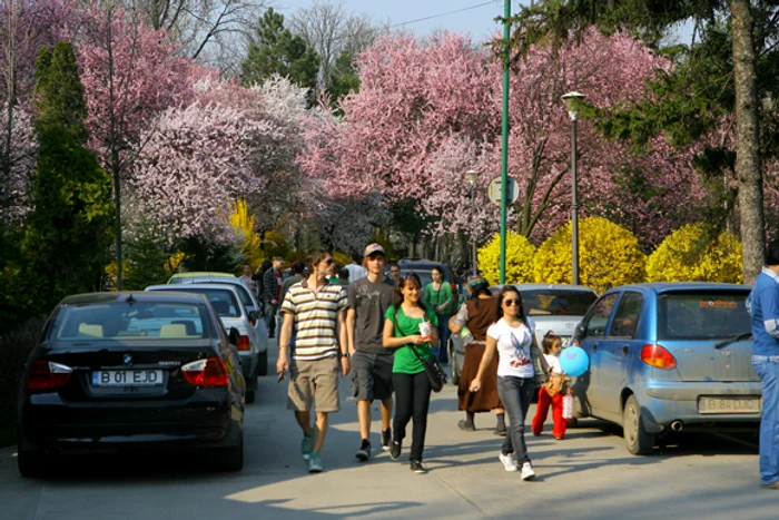 Prognoza meteo pentru următoarele două zile anunță că temperaturile vor fi în scăderefoto: Click!