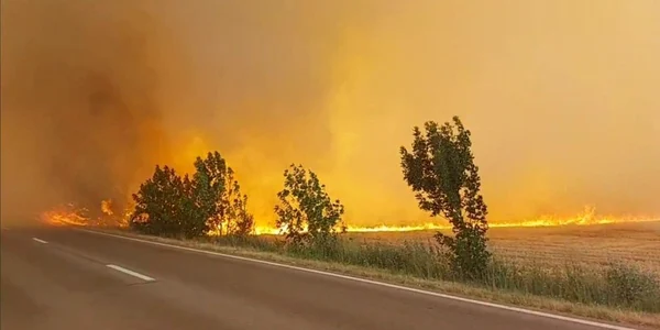 incendiu vegetatie teleorman foto isu
