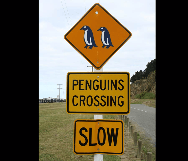 Content image