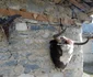 DSC 0477 JPG