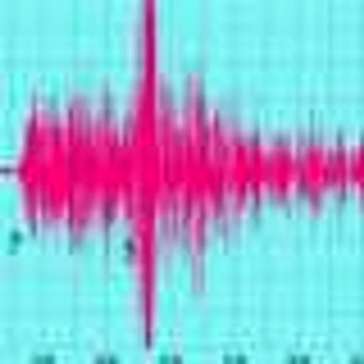 Cutremur de 6,6 grade Richter în insulele Samoa