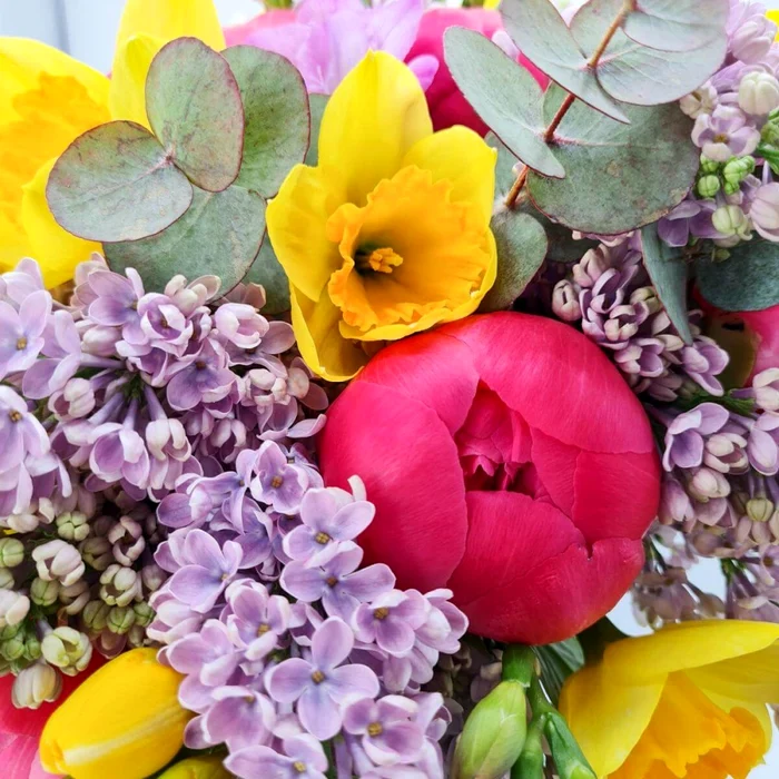 Se spune despre liliac că aduce fericire, pace și speranță nouă. Foto: arhiva.