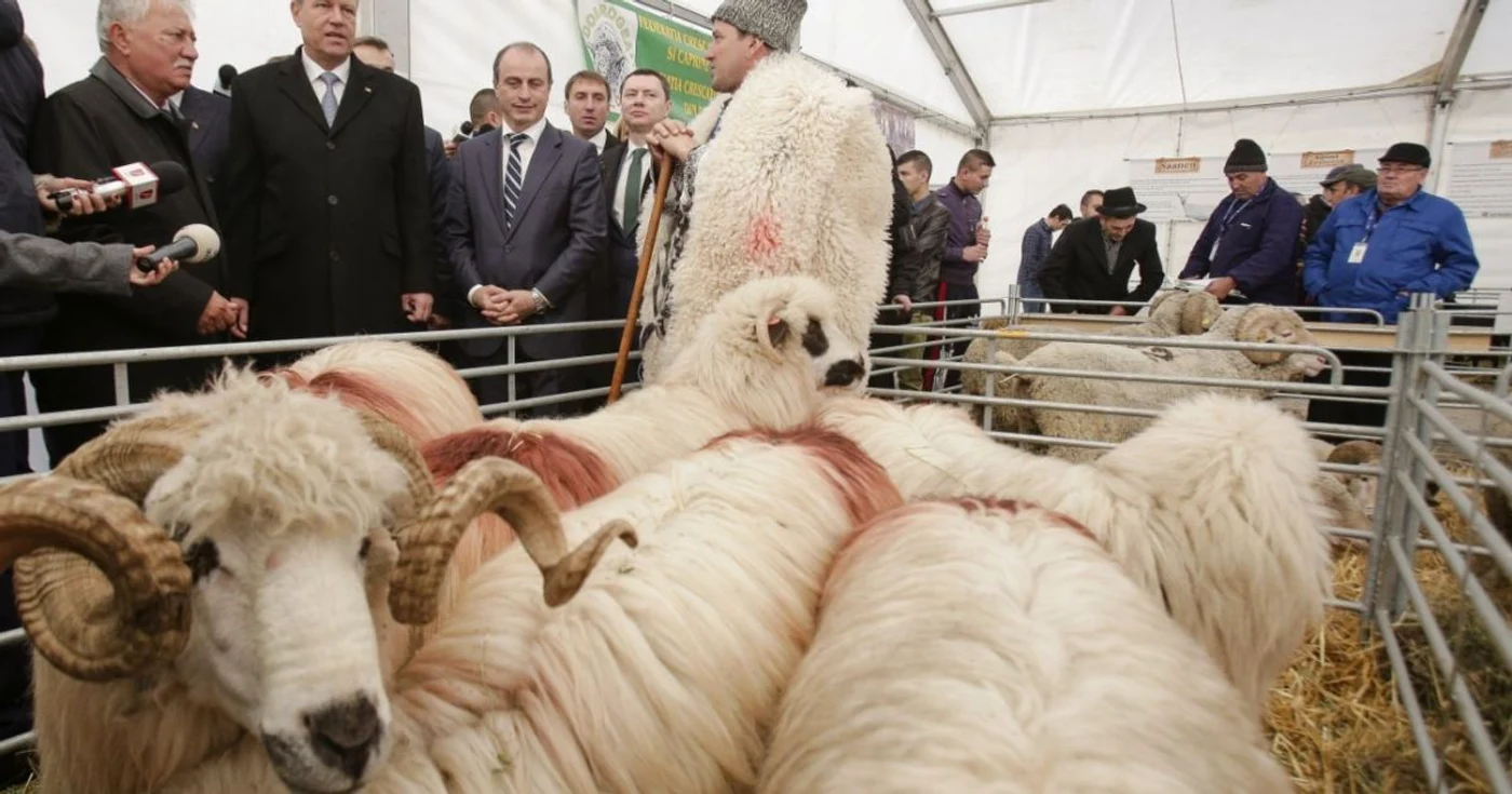 Preşedintele Klaus Iohannis a subliniat importanţa de a promova potenţialul agricol al ţării FOTO Inquam Photos Octav Ganea