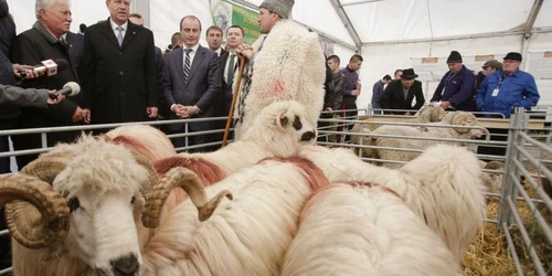 Preţedintele României Klaus Iohannis participă alături de ministrul agriculturii Achim Irimescu la deschiderea târgului INDAGRA 2016 în Bucureşti miercuri 2 octombrie 2016 FOTO Inquam Photos Octav Ganea