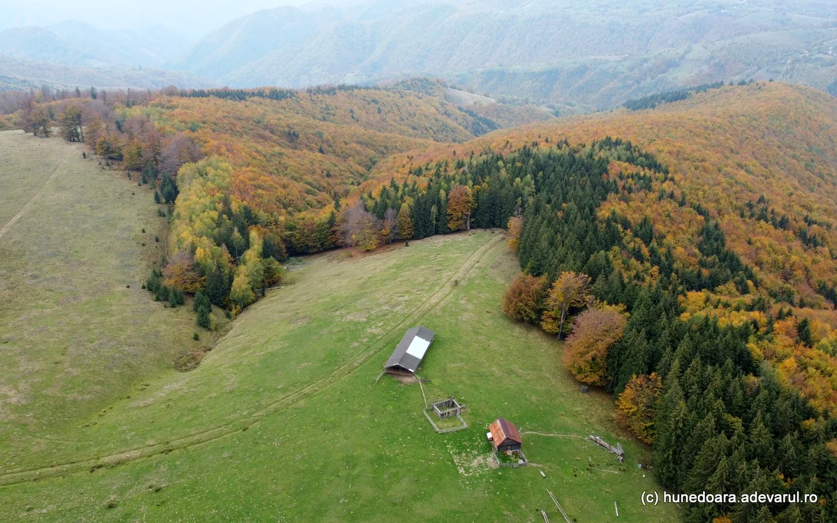 Poiana Omului. Foto: Daniel Guță