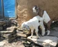 IMG 9123 JPG