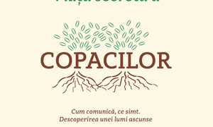 Au copacii Internet? jpeg