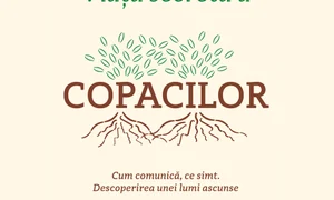 Au copacii Internet? jpeg