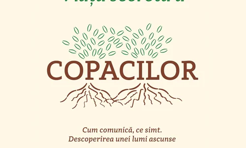 Au copacii Internet? jpeg