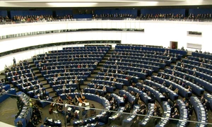 Ce au făcut europarlamentarii români jpeg