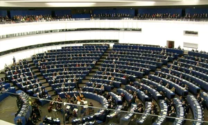 Ce au făcut europarlamentarii români jpeg