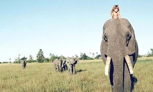 Tippi, la vârsta de  6 ani, jucându se  cu un leopard  domesticit jpeg