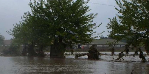 142 de hectare de păşune se află sub apă (foto arhiva) 