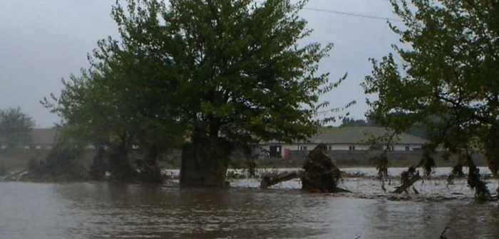142 de hectare de păşune se află sub apă (foto arhiva)