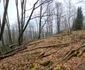 Cetatea dacică Fețele Albe Foto Daniel Guță ADEVĂRUL (50) jpg