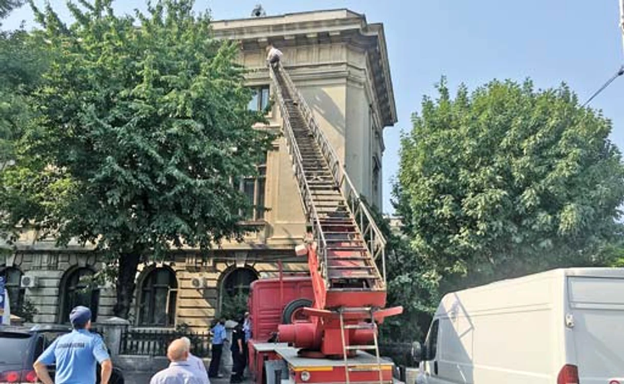 
    Aici îşi  făcuseră  casă harnicele  albine  