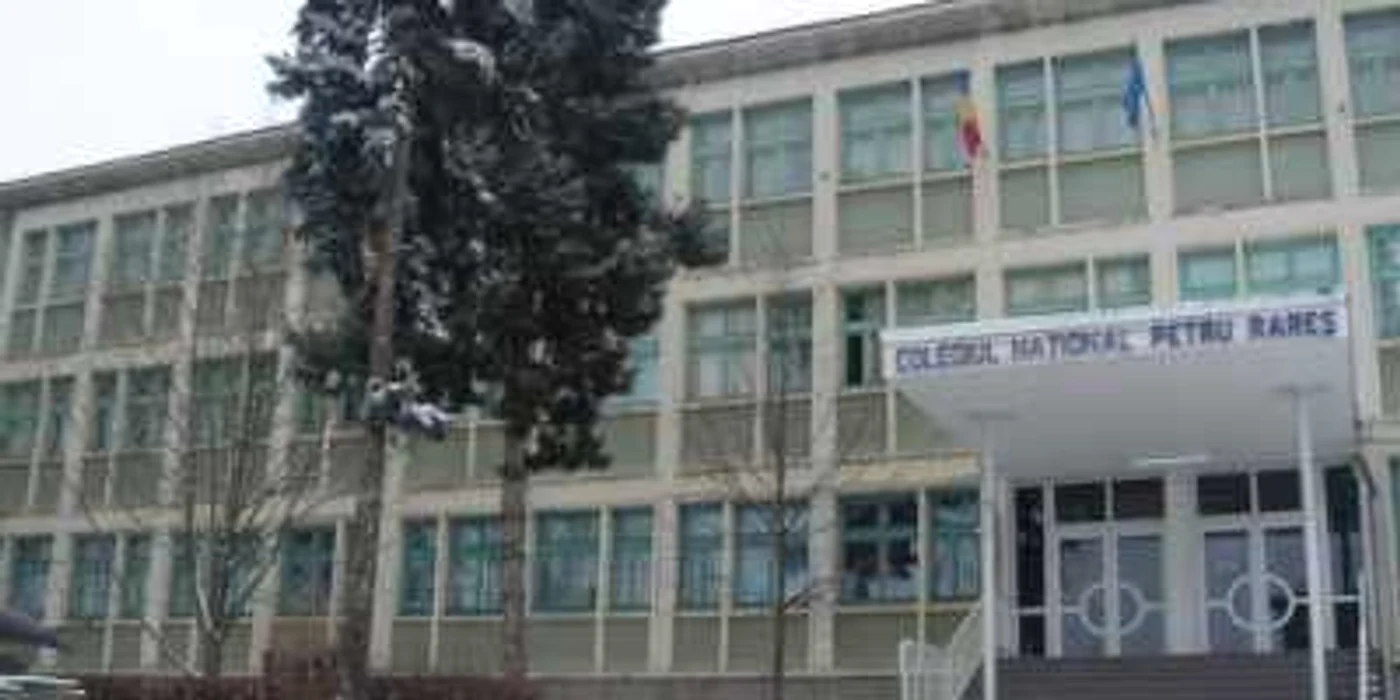 Elevii Colegiului "Petru Rareş" din Suceava au muncit zile întregi pentru acest proiect