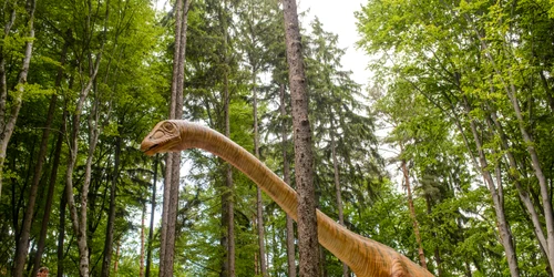 WhatsApp Image 2023 08 23 at 12 40 24 jpeg