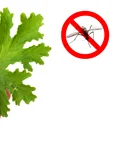 1 shutterstock 431971636 jpg jpeg