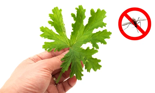 1 shutterstock 431971636 jpg jpeg