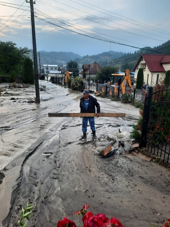 Ploile şi viiturile au provocat un veritabil dezastru în mai multe localităţi din Apuseni