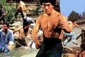 1 bruce lee profimedia 0378621662 jpg jpeg