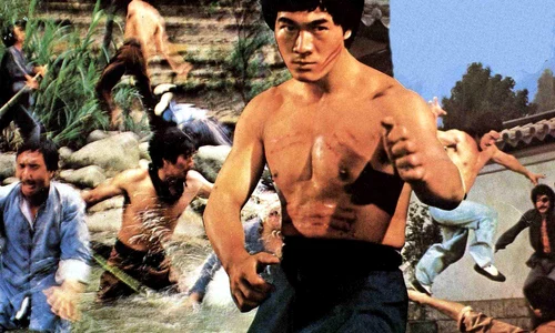 1 bruce lee profimedia 0378621662 jpg jpeg