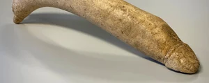 Osul sculptat în formă de penis, descoperit în depozitele Muzeului Valkhof (© Provincie Gelderland)