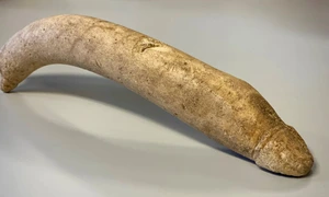 Osul sculptat în formă de penis, descoperit în depozitele Muzeului Valkhof (© Provincie Gelderland)