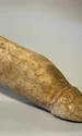 Osul sculptat în formă de penis, descoperit în depozitele Muzeului Valkhof (© Provincie Gelderland)